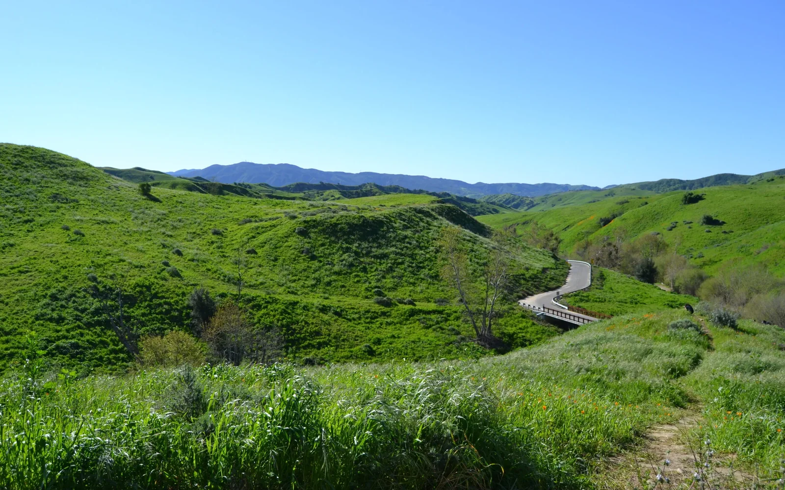 Chino Hills 1031 Exchange