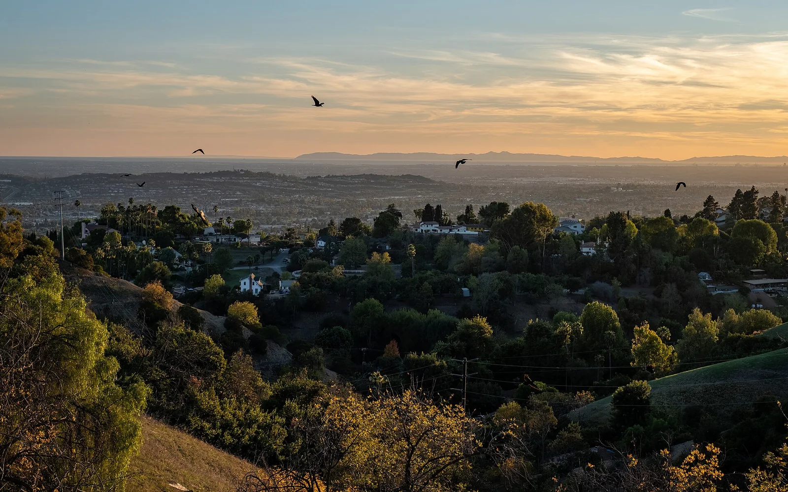 La Habra Heights 1031 Exchange