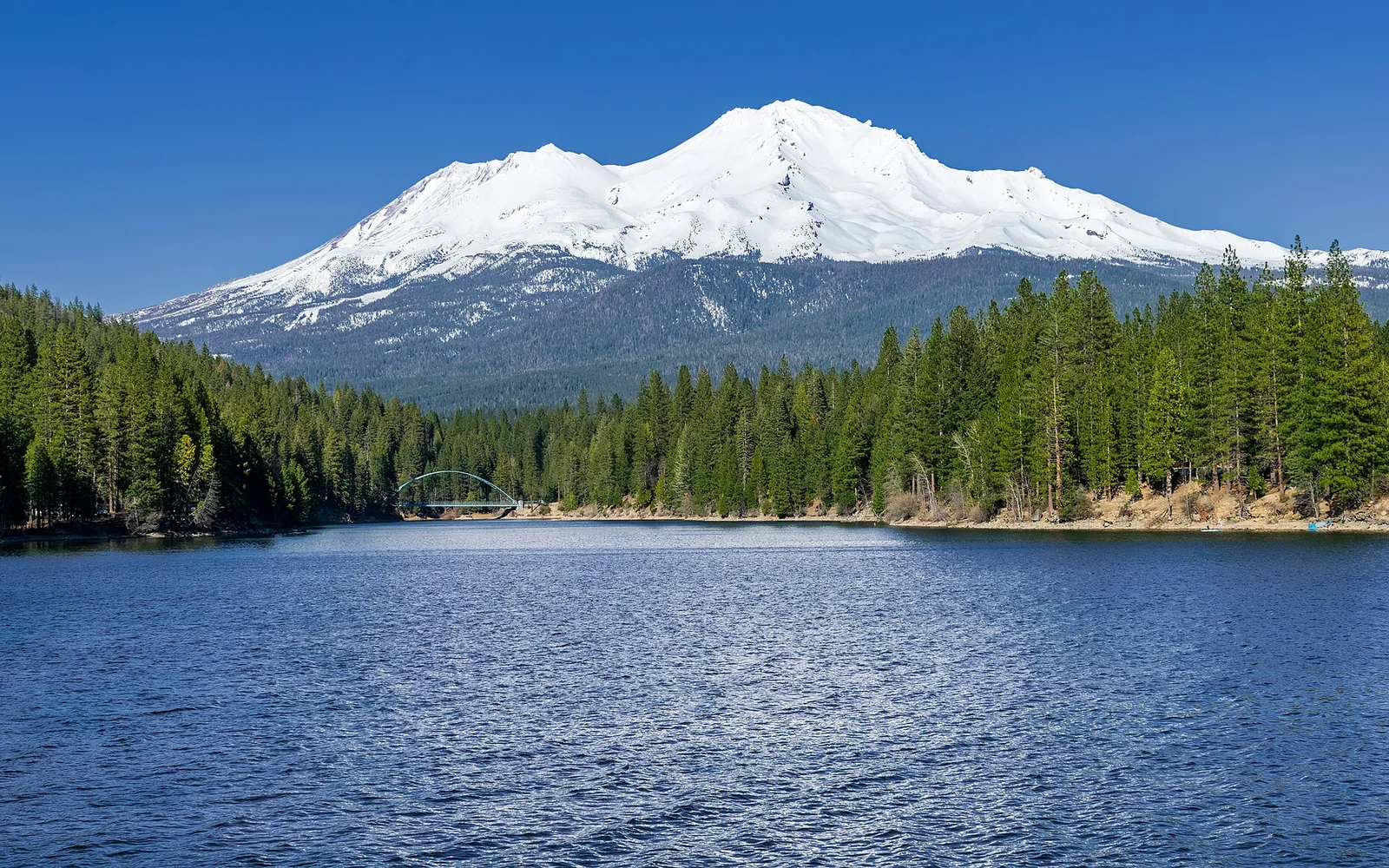 Mount Shasta 1031 Exchange