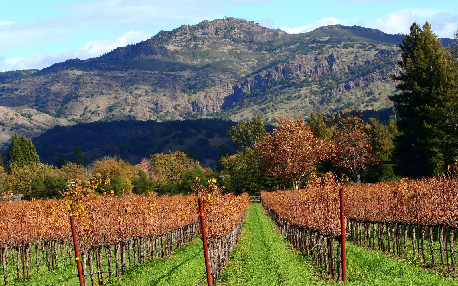 Napa 1031 Exchange