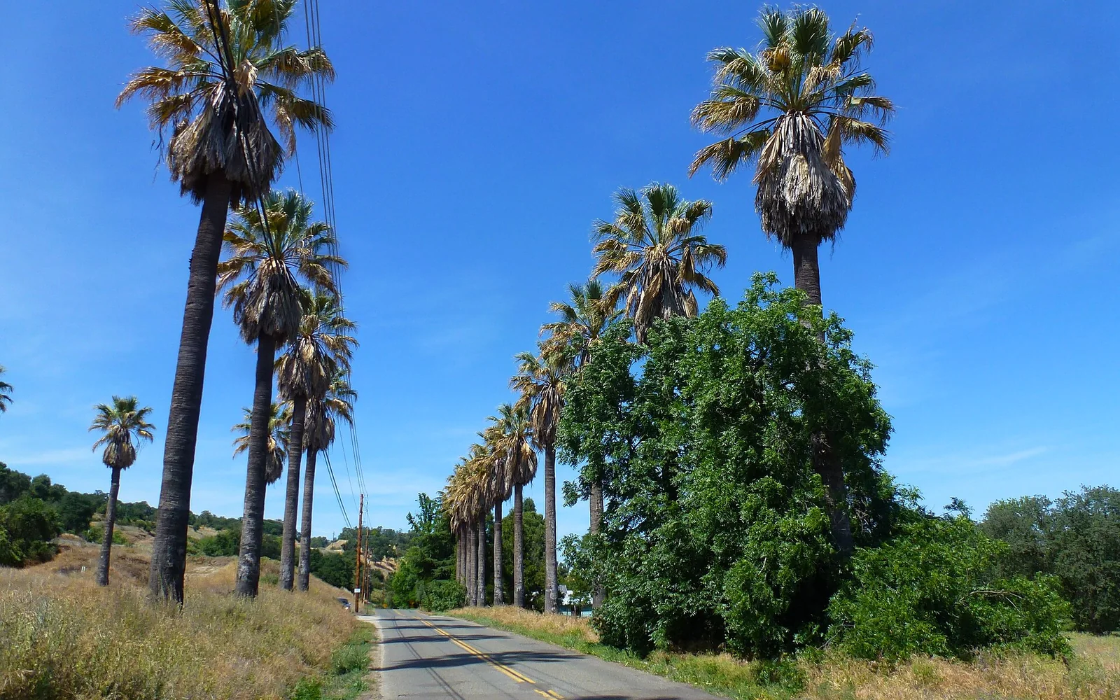 Rocklin 1031 Exchange