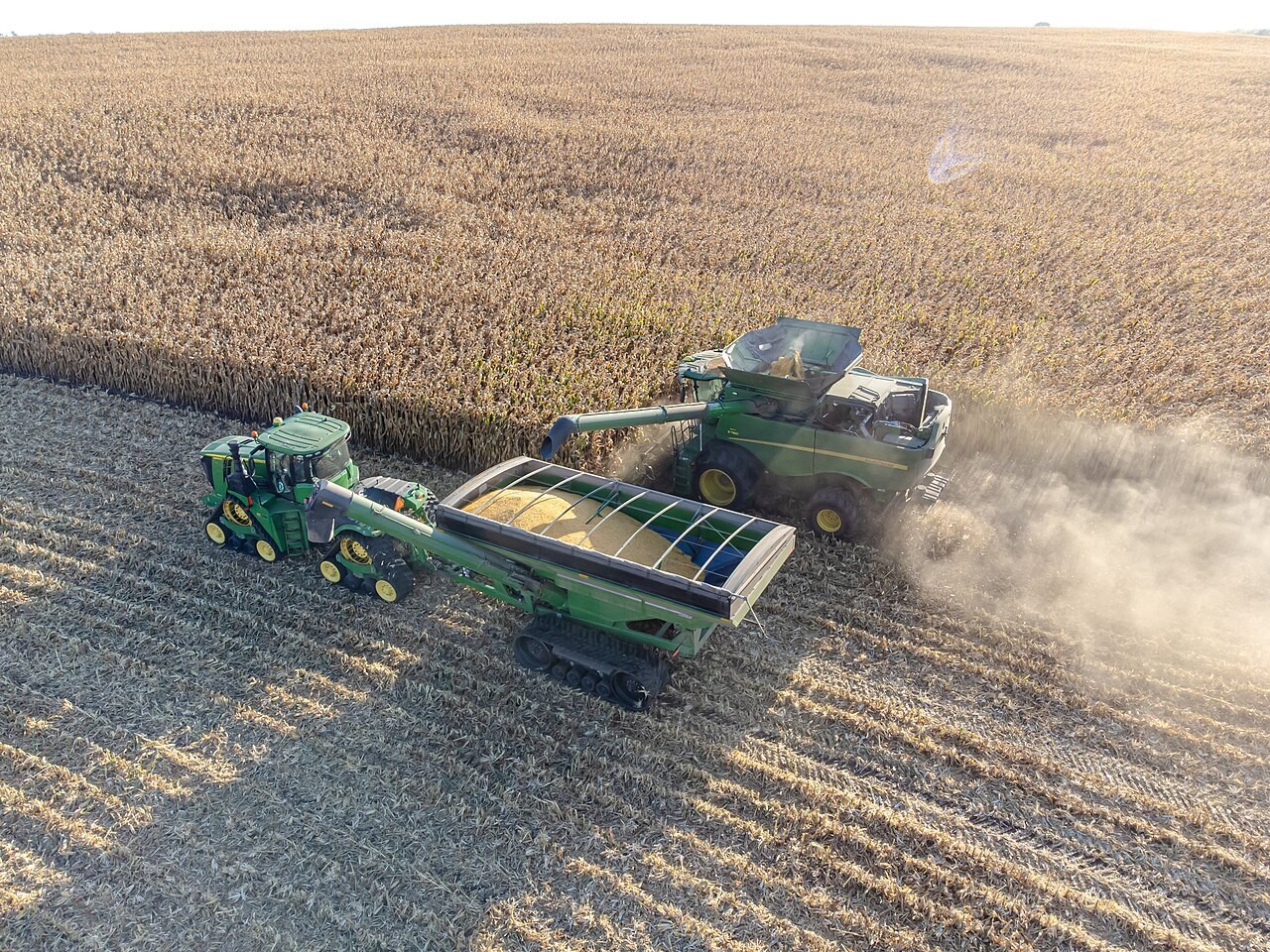 Land Replacement Property